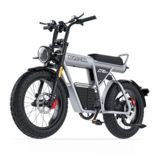 L’Ebike Haute Performance CT20S
