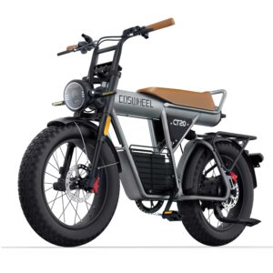 Vélo Électrique Familial CT20